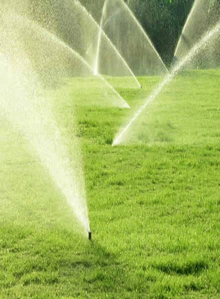 Sprinkler and Drip Irrigation Schemes